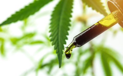 Cannabis Oil Dosage For A Successful Outcome