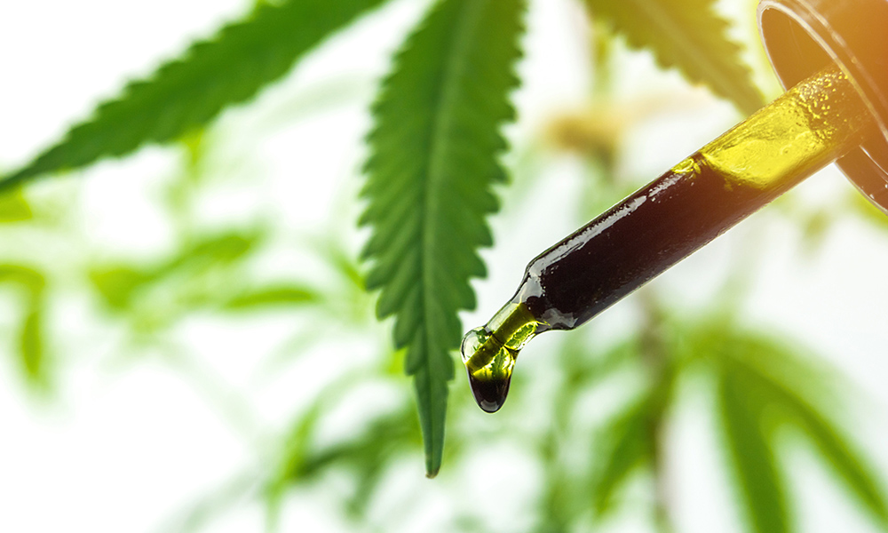 Cannabis Oil Dosage For A Successful Outcome