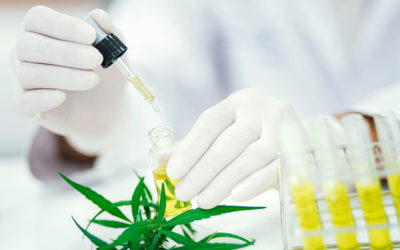 Cannabis Testing Labs and Why We Need Them