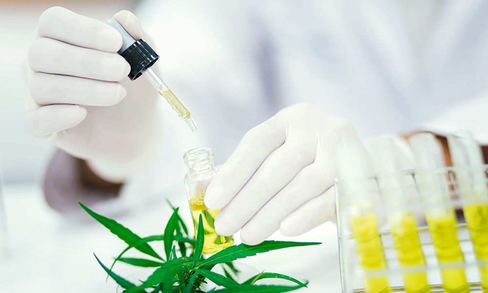 Cannabis Testing Labs and Why We Need Them