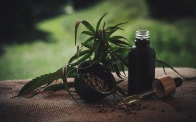 Cannabidiol Types: How Are They Different?