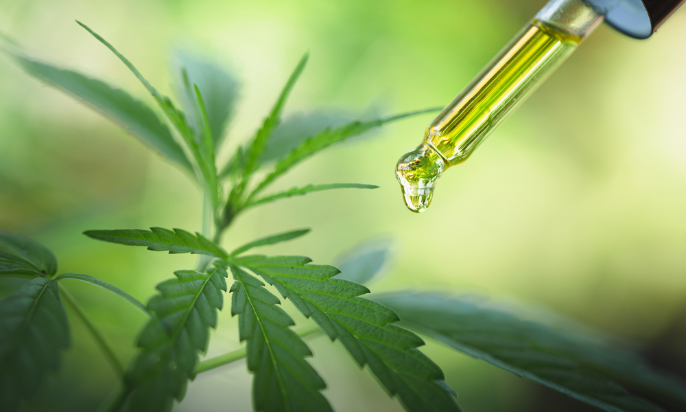 Cannabinoid Oil For Discreet Dosing